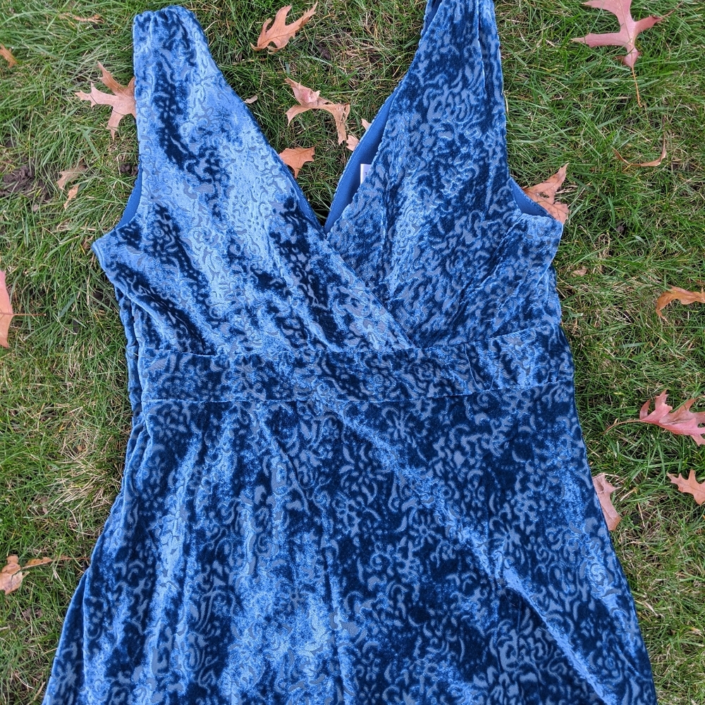 NWOT Vinrage The  Limited Velvet top